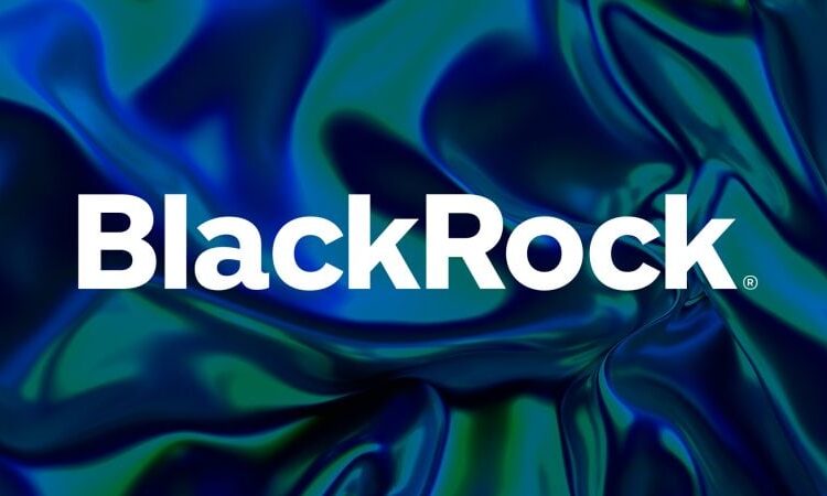 BlackRock нацеливается на токенизацию традиционных финансовых инструментов