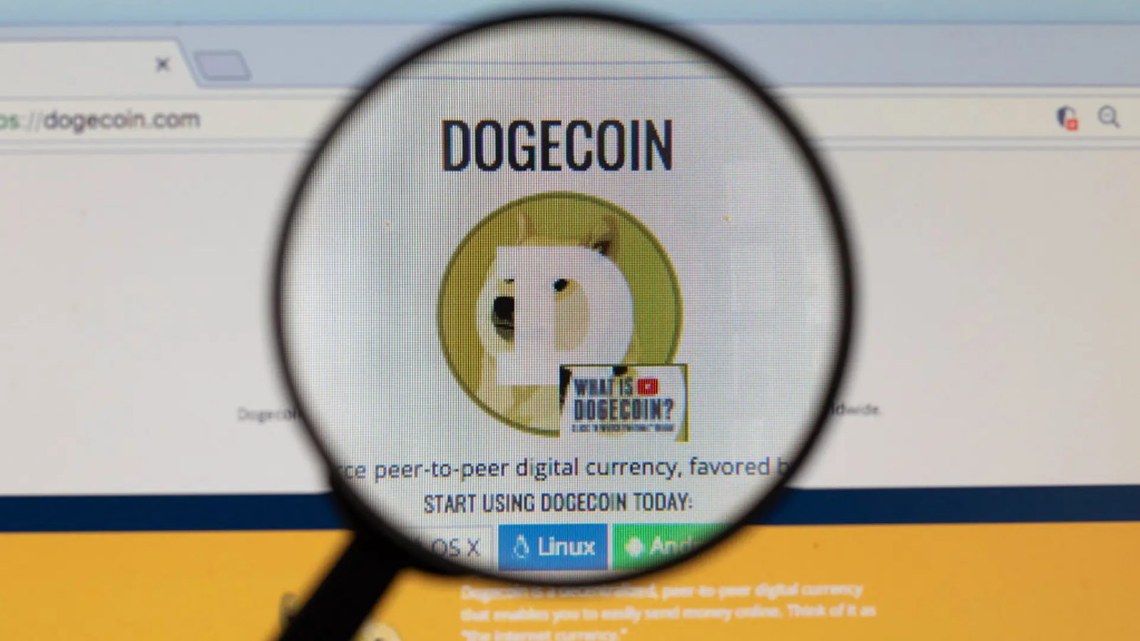 DogeOS запускает тестовую сеть DeFi для Dogecoin — изображение CoinDesk